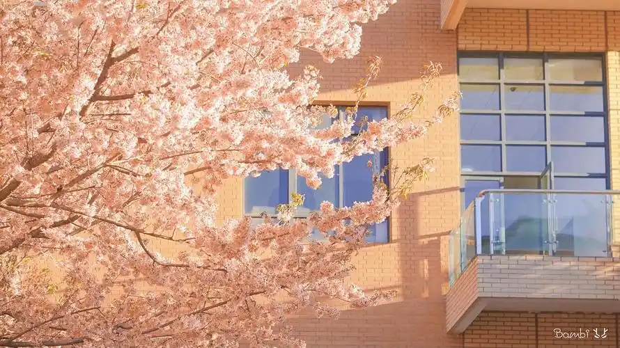 ipad壁纸合集不定期更新风景图为主