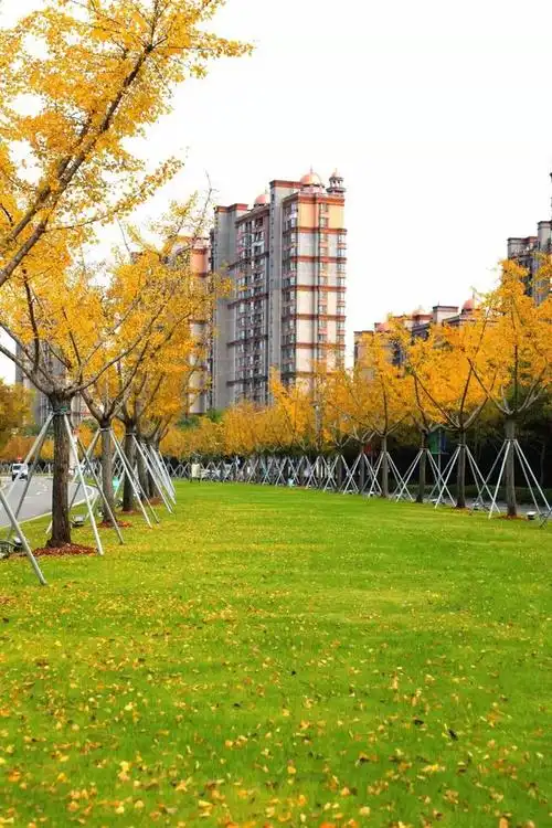 关心奉贤大小事,关注"上海奉贤"一手掌握!