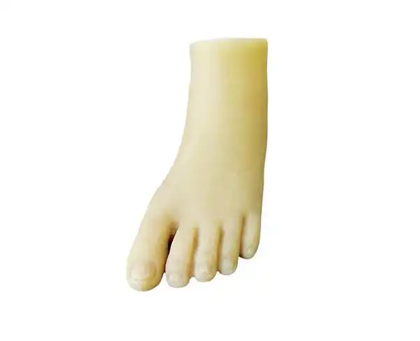 前臂假肢规格供应