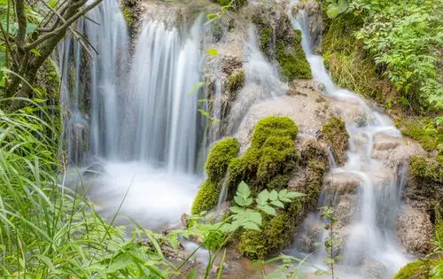 王府竹海,这个洛阳最年轻的4a景区,门票便宜住宿便宜还适合避暑_竹林