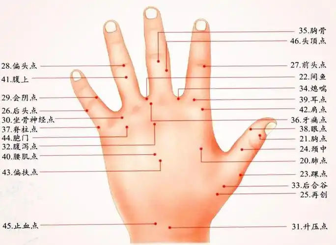 手背痣相图解
