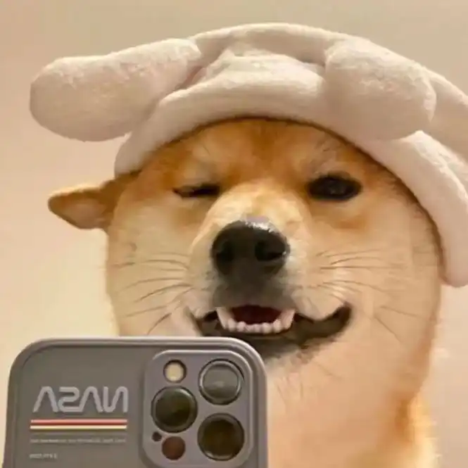 狗狗98可爱#优质男头 #这也太可爱了吧 #搞怪头像 #憨狗 - 抖音