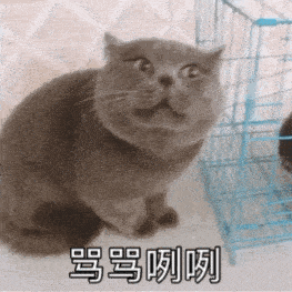 聊天表情包动态猫狗表情包133