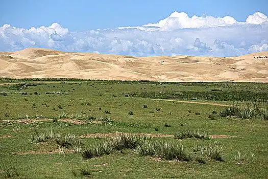 草原,沙漠