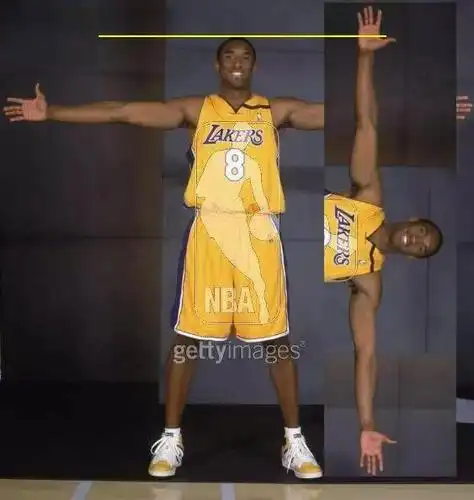 科比的身高臂展