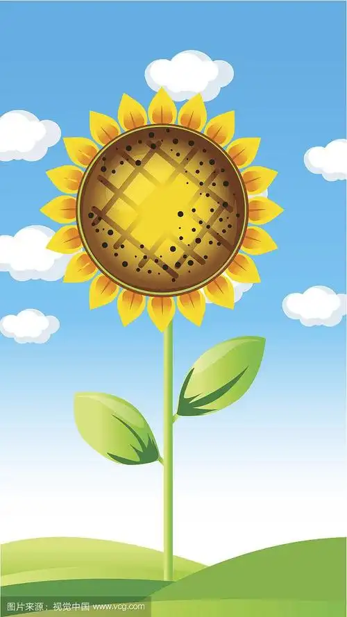 向日葵矢量图