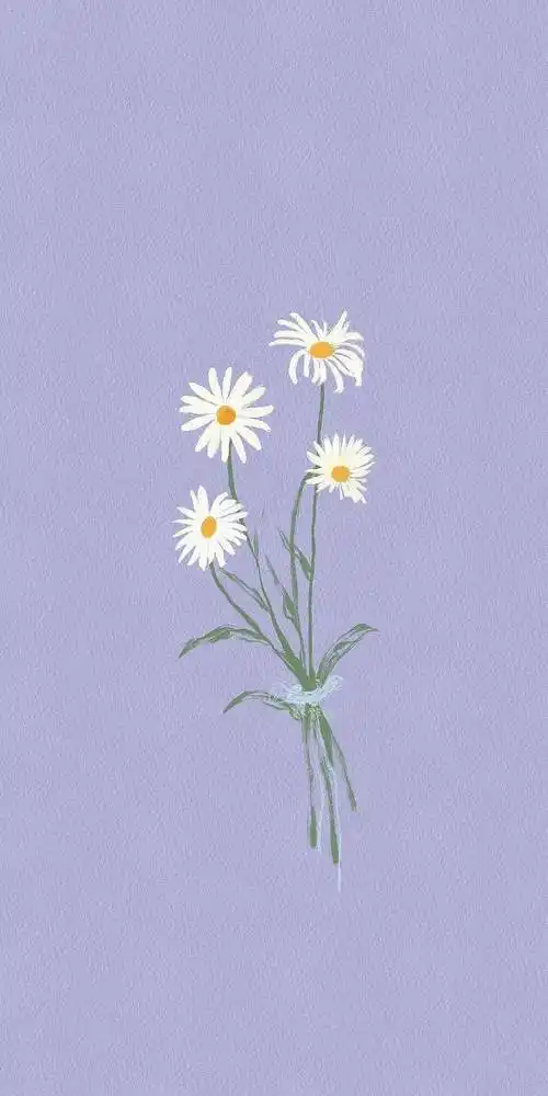 ins高质感冷淡风壁纸