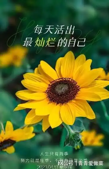 励志的话正能量句子赚钱的时候别矫情花钱的时候别磨叽