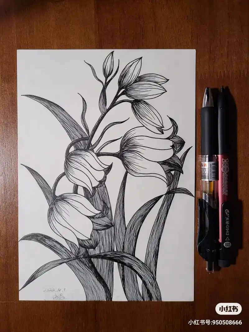 练习1#针管笔 #黑白画 #线条 #绘画  - 抖音