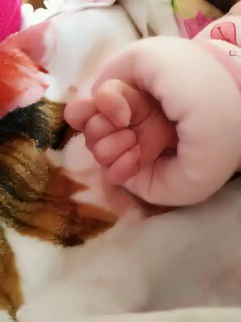 一个月6天的宝宝_我宝宝上身穿的小袄,下身不穿,然后包的包被_宝宝树