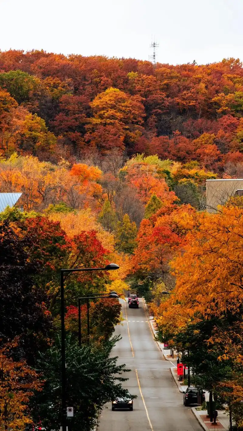 加拿大.世界上从来都不缺美景,只要你有一双发现美的眼睛.加拿 - 抖音