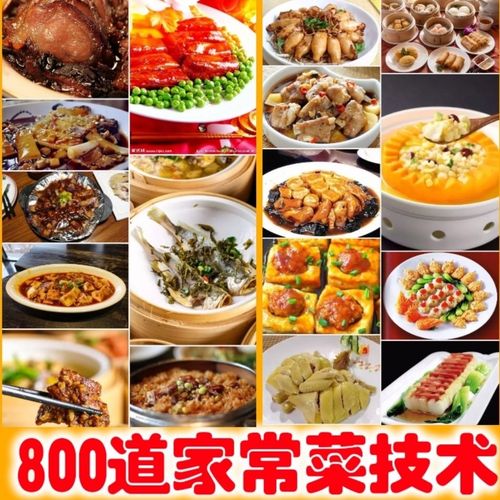 800道家常菜技术烹饪自学厨艺炒菜菜谱大全学做菜教学大厨家常菜