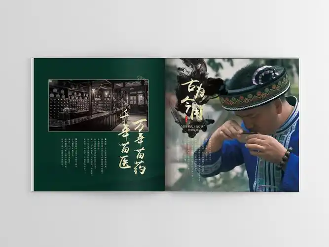 苗医养生品牌画册|平面|书装/画册|mizi品牌设计