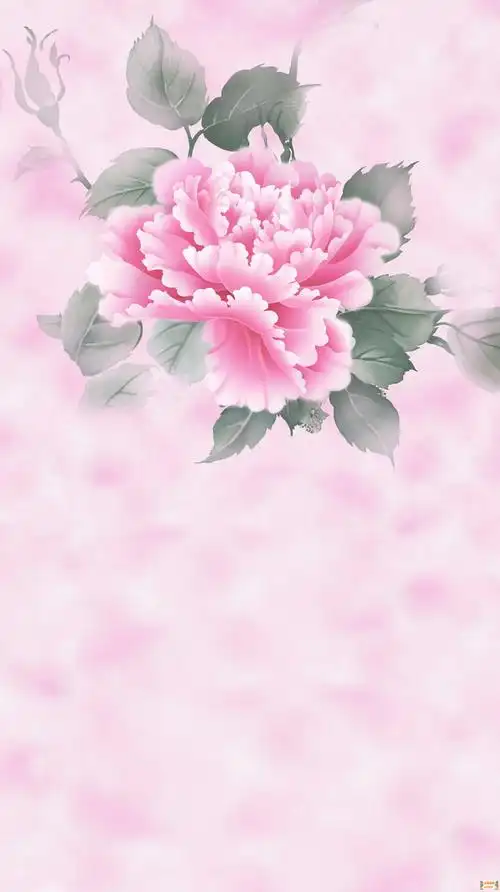 摄影背景布高清大图影楼棚拍照片常用的背景素材-春天的花儿背景30p[