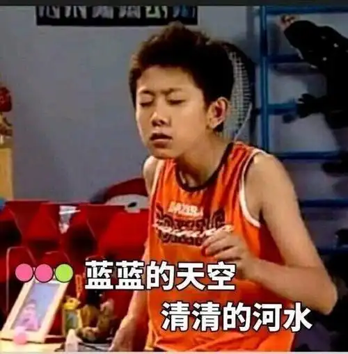 蓝蓝的天空清清的河水(家有儿女 刘星表情包)_刘星_rl_tu_蓝蓝的_清清