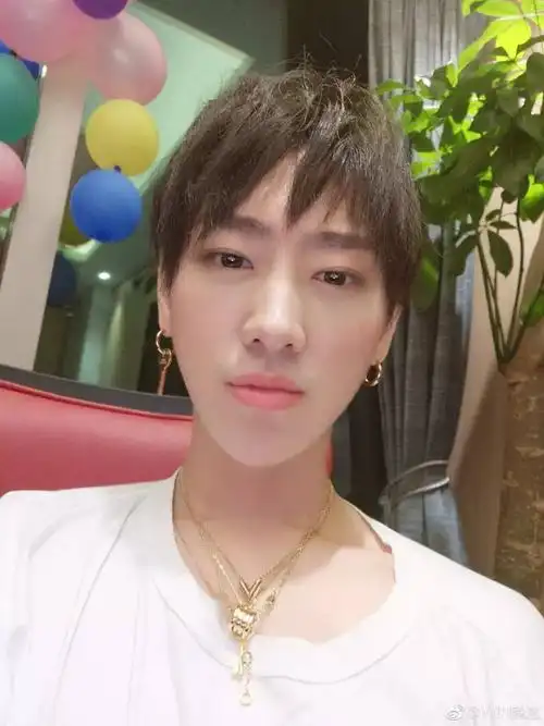 魏巡还隐藏了自己结婚的事实.