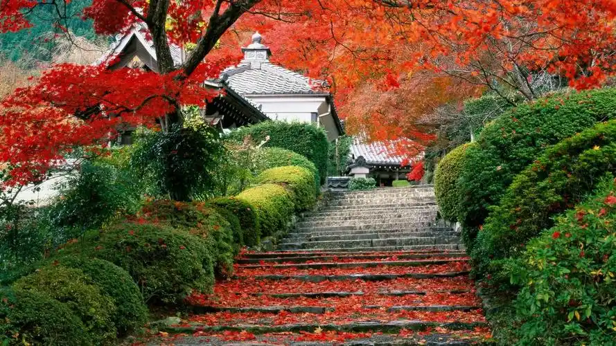 壁纸 风景 1920_1080