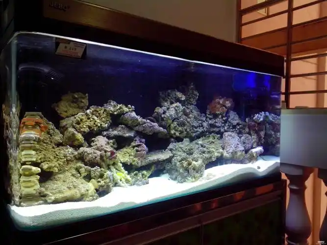 2米海缸完成(7月15日更新)