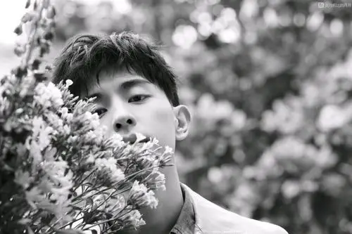 邓伦- 堆糖,美图壁纸兴趣社区