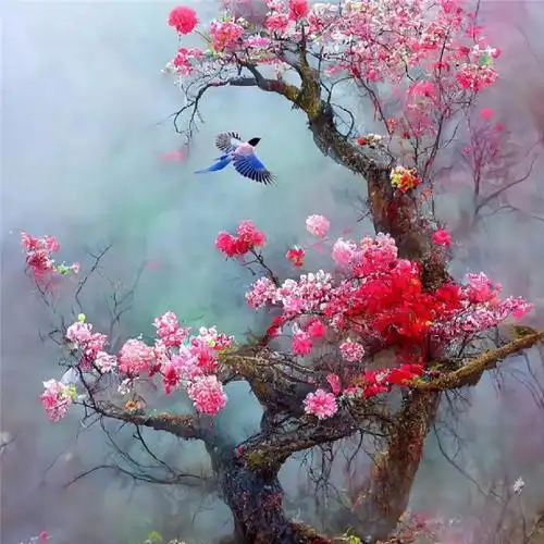 傲雪寒梅头像高清图片 唯美适合做微信头像的梅花_微信头像_头像屋