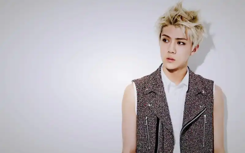 exo成员桌面壁纸,第23张图片