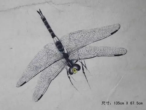 齐白石荷花蜻蜓图立轴