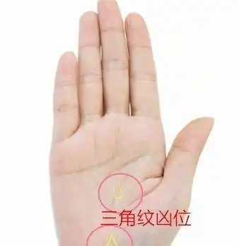 手相:三角纹有凶有吉,若出现生命线上,必有一次生死关要过_手机搜狐网