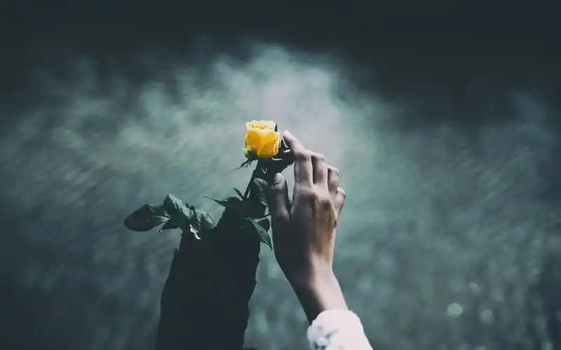 夜晚一个人的孤独没有人陪伴