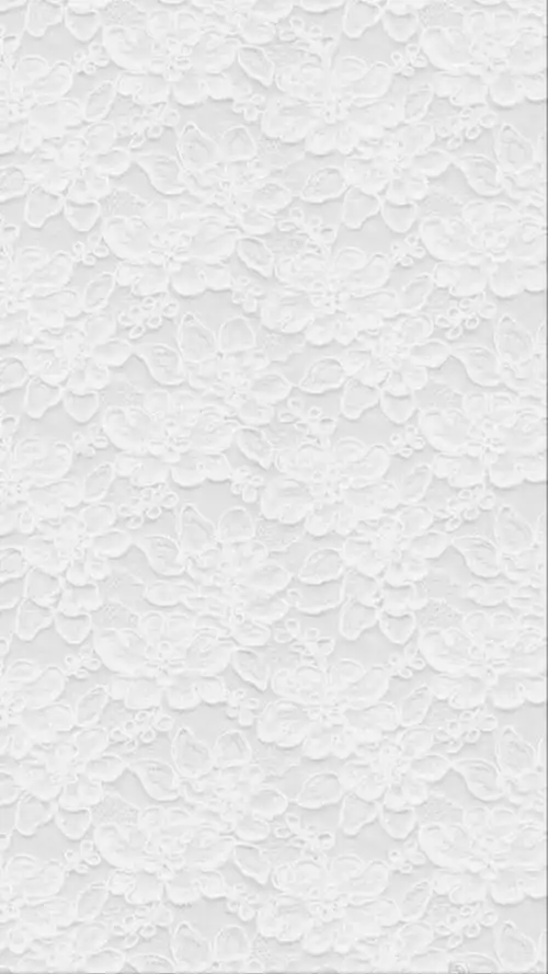 iphone壁纸壁纸#蕾丝#可爱 白色#唯美
