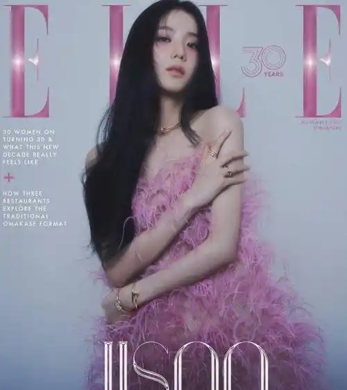 金智秀杂志封面大片释出 穿粉红羽毛连衣裙超惊艳_魅力_时尚_形象