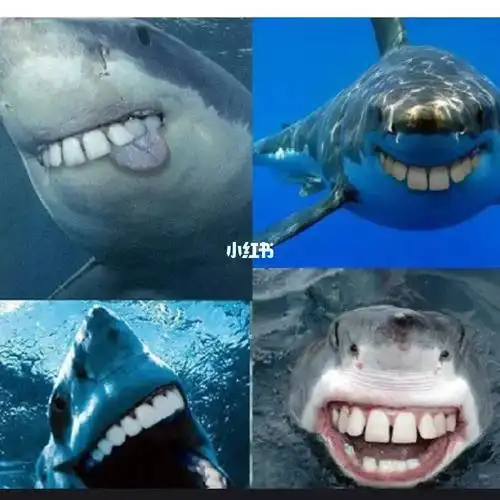 如果鲨鱼长出人的牙齿