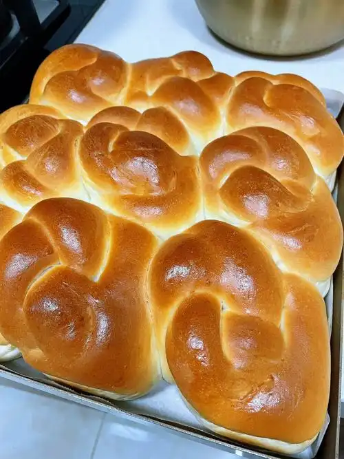 一次发酵面包格瓦斯老面包