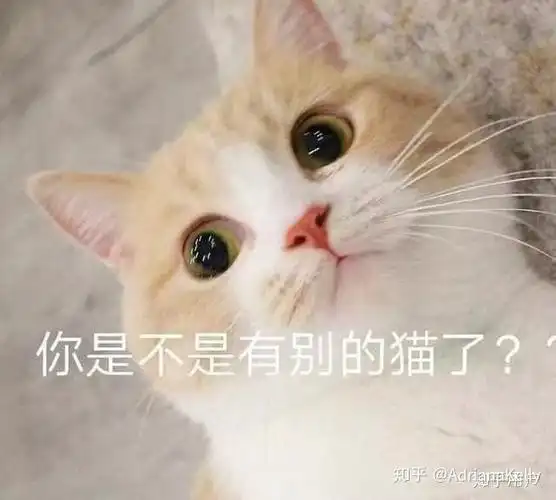 你们有没有可以发给男朋友的表情包