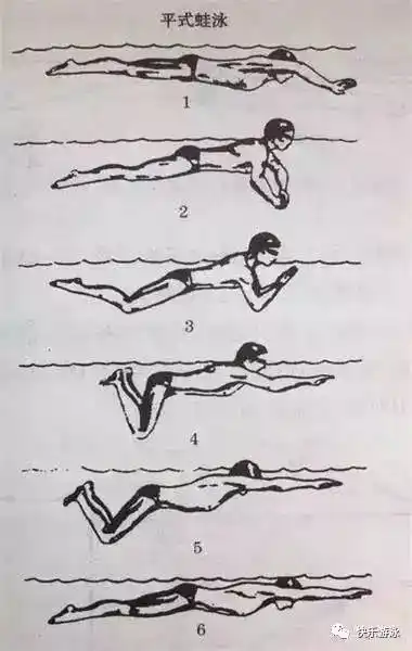 平式蛙泳与波浪式蛙泳的五大区别