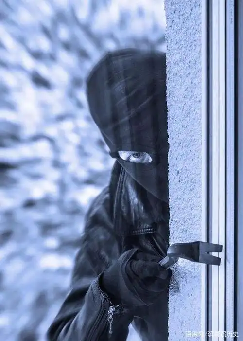 女性犯罪奇案:劫财又劫色的蒙面大盗,落网后发现是个女人