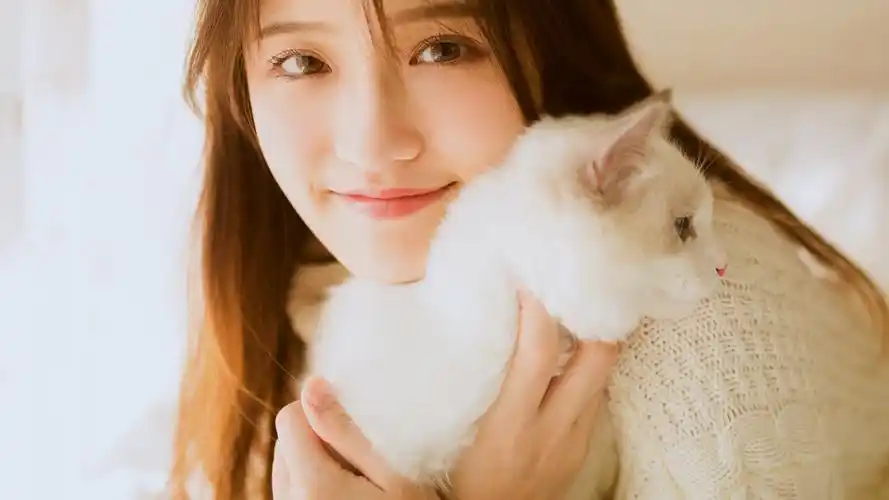 32m上传时间:2020-09-04壁纸标签:可爱美女壁纸封面图可爱美女壁纸