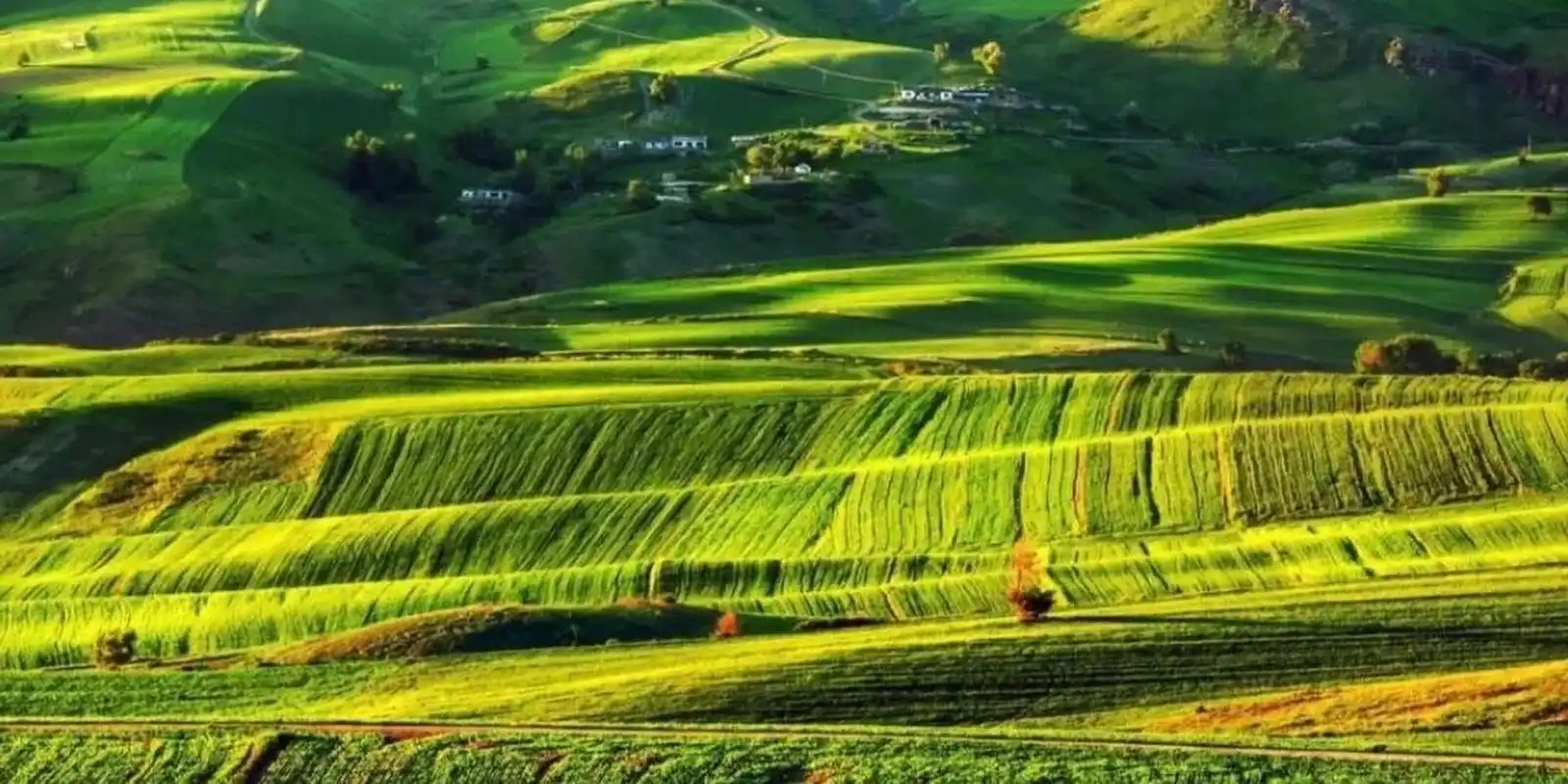 新疆 | 何必诗行远方,最美的风景就在身边 !