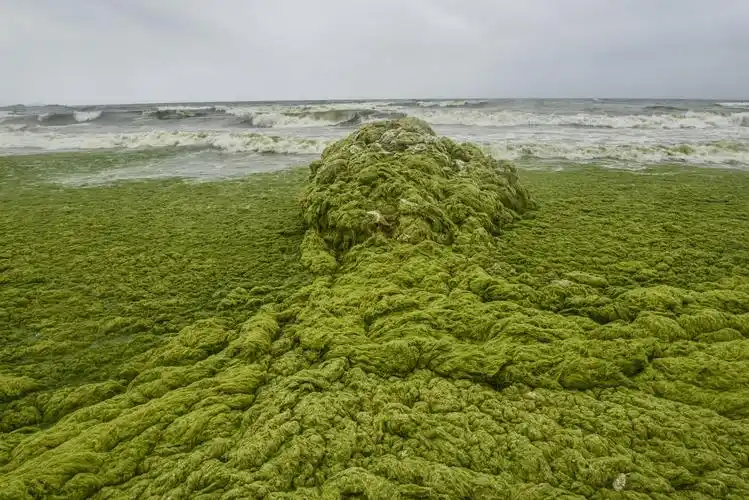 绿潮-2 - 自然类-摄影大赛2016 - 地理中文网—《国家地理》杂志中文