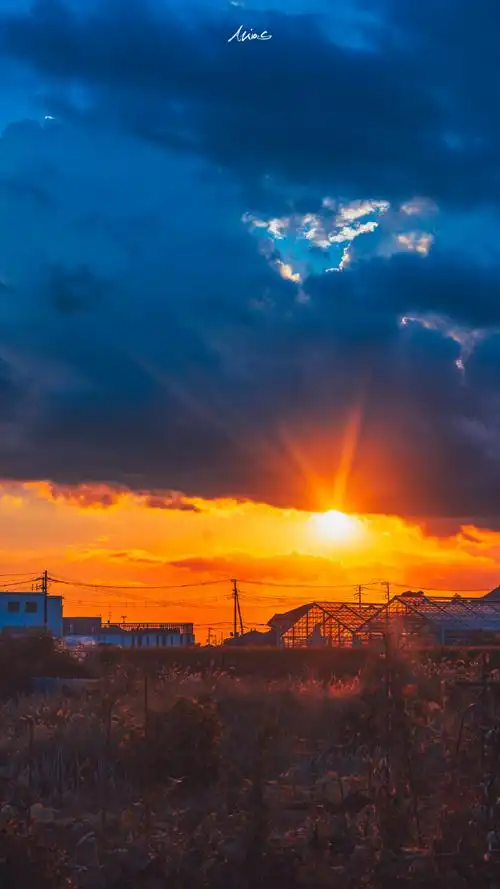 夏日的晚霞永远浪漫热烈.