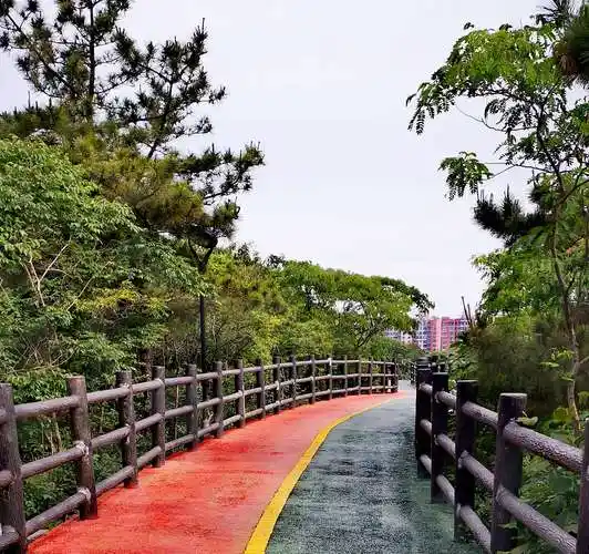 又走北固山步行道 - 美篇