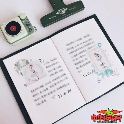 简单好看的手帐排版,盐系少女简约风手帐