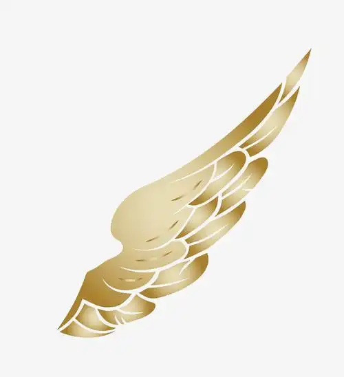 矢量翅膀png