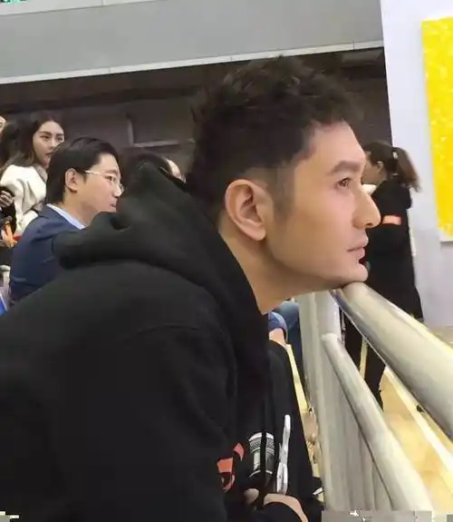 他们不仅整,而且下手够狠_黄晓明_双眼皮_角色