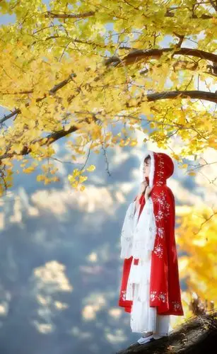 问世间转过多少流年 才会有一次擦肩 明镜水月菩提树下又见