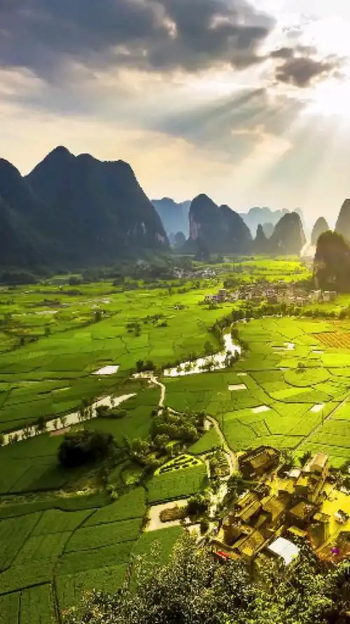 山清水秀,鸟语花香