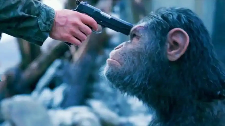 科幻电影凯撒为了复仇勇闯人类军营面对枪口也要带猿族崛起