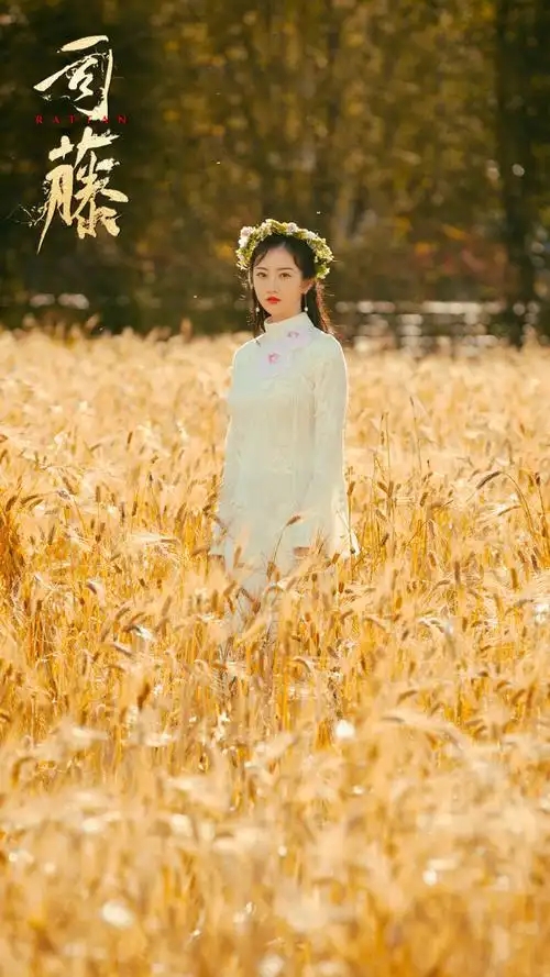 司藤海报 19 poster