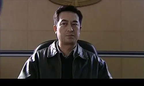 张嘉译《神圣使命》剧评,根据小说《政法委书记》改编