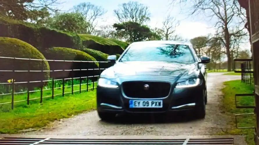 无意看到一部女主开豹豹的电影#jaguar  #推荐一部好电影  #捷豹