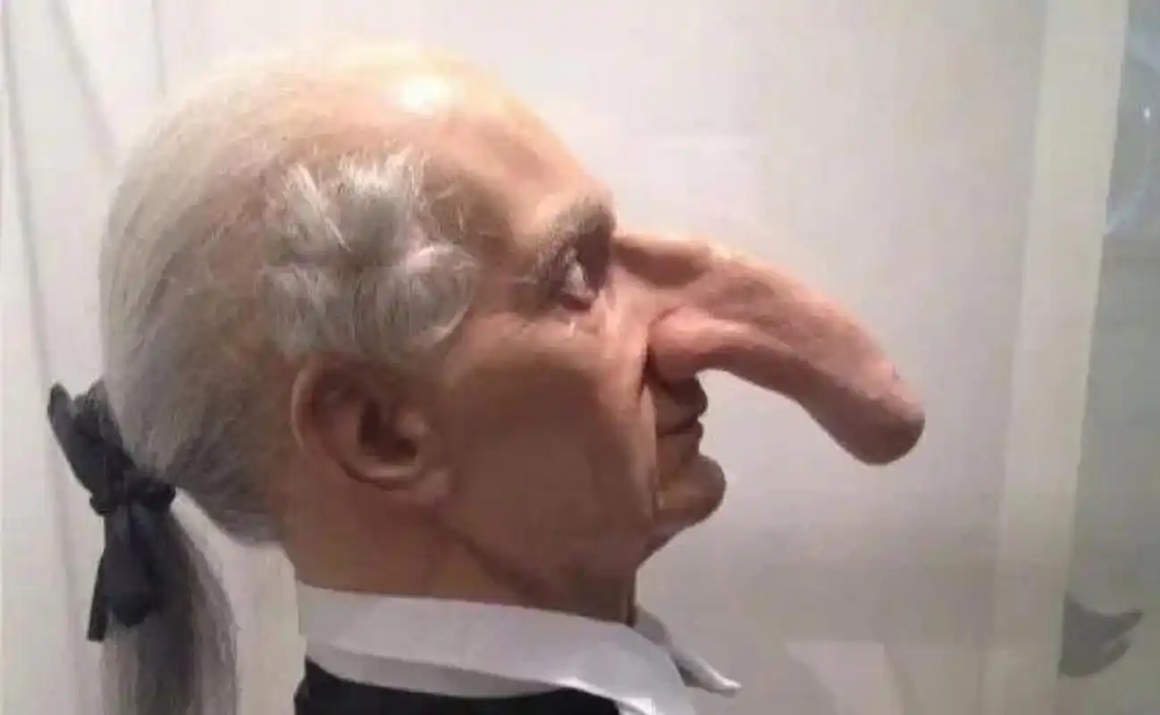 世界上鼻子最大的人